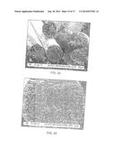 NONWOVEN SUBSTRATES HAVING FIBRILS diagram and image