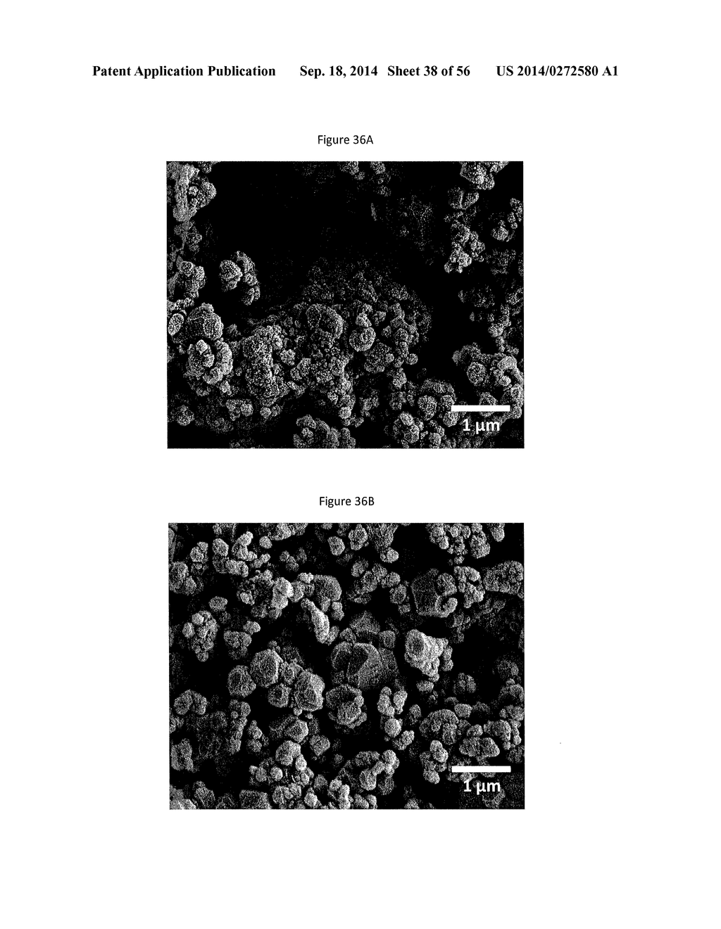 Complexometric Precursor Formulation Methodology For Industrial Production     Of Fine And Ultrafine Powders And Nanopowders Of Layered Lithium Mixed     metal Oxides For Battery Applications - diagram, schematic, and image 39