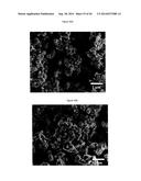 Complexometric Precursor Formulation Methodology For Industrial Production     Of Fine And Ultrafine Powders And Nanopowders Of Layered Lithium Mixed     metal Oxides For Battery Applications diagram and image