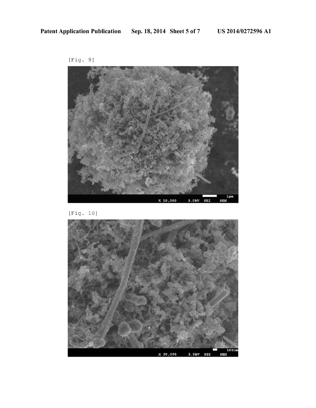 COMPOSITE CARBON FIBERS - diagram, schematic, and image 06