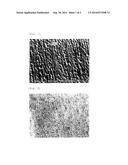 METHOD FOR PRODUCING POROUS ALUMINUM FOIL, POROUS ALUMINUM FOIL, POSITIVE     ELECTRODE CURRENT COLLECTOR FOR ELECTRICAL STORAGE DEVICES, ELECTRODE FOR     ELECTRICAL STORAGE DEVICES, AND ELECTRICAL STORAGE DEVICE diagram and image