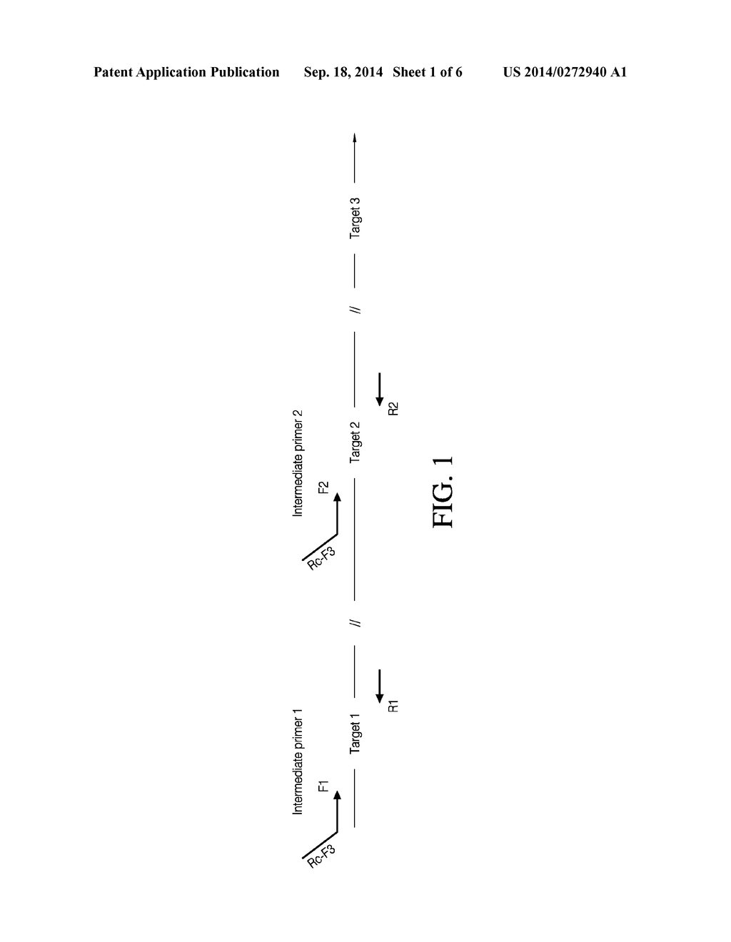 METHODS FOR DETECTION OF MULTIPLE TARGET NUCLEIC ACIDS - diagram, schematic, and image 02