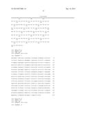 FELINE BITTER TASTE RECEPTORS AND METHODS diagram and image