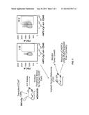 PRO-ANGIOGENIC AND ANTI-ANGIOGENIC HEMATOPOIETIC PROGENITOR CELL     POPULATIONS diagram and image