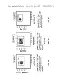 PRO-ANGIOGENIC AND ANTI-ANGIOGENIC HEMATOPOIETIC PROGENITOR CELL     POPULATIONS diagram and image