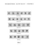 METHOD AND COMPOSITION FOR STAINING AND SAMPLE PROCESSING diagram and image