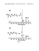 PROCESS OF PREPARING FUNCTIONALIZED POLYMERS VIA ENZYMATIC CATALYSIS diagram and image