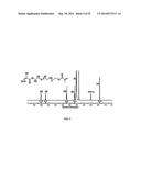 PROCESS OF PREPARING FUNCTIONALIZED POLYMERS VIA ENZYMATIC CATALYSIS diagram and image