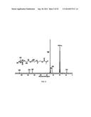 PROCESS OF PREPARING FUNCTIONALIZED POLYMERS VIA ENZYMATIC CATALYSIS diagram and image