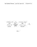 PROCESS OF PREPARING FUNCTIONALIZED POLYMERS VIA ENZYMATIC CATALYSIS diagram and image