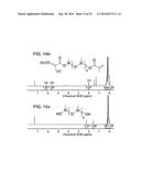 PROCESS OF PREPARING FUNCTIONALIZED POLYMERS VIA ENZYMATIC CATALYSIS diagram and image