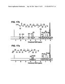 PROCESS OF PREPARING FUNCTIONALIZED POLYMERS VIA ENZYMATIC CATALYSIS diagram and image