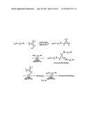 PROCESS OF PREPARING FUNCTIONALIZED POLYMERS VIA ENZYMATIC CATALYSIS diagram and image