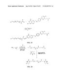 PROCESS OF PREPARING FUNCTIONALIZED POLYMERS VIA ENZYMATIC CATALYSIS diagram and image