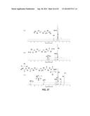 PROCESS OF PREPARING FUNCTIONALIZED POLYMERS VIA ENZYMATIC CATALYSIS diagram and image