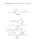 PROCESS OF PREPARING FUNCTIONALIZED POLYMERS VIA ENZYMATIC CATALYSIS diagram and image