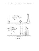 PROCESS OF PREPARING FUNCTIONALIZED POLYMERS VIA ENZYMATIC CATALYSIS diagram and image