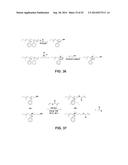 PROCESS OF PREPARING FUNCTIONALIZED POLYMERS VIA ENZYMATIC CATALYSIS diagram and image