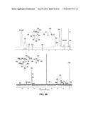 PROCESS OF PREPARING FUNCTIONALIZED POLYMERS VIA ENZYMATIC CATALYSIS diagram and image