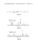 PROCESS OF PREPARING FUNCTIONALIZED POLYMERS VIA ENZYMATIC CATALYSIS diagram and image