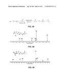 PROCESS OF PREPARING FUNCTIONALIZED POLYMERS VIA ENZYMATIC CATALYSIS diagram and image