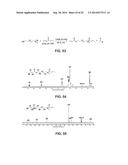PROCESS OF PREPARING FUNCTIONALIZED POLYMERS VIA ENZYMATIC CATALYSIS diagram and image