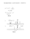 PROCESS OF PREPARING FUNCTIONALIZED POLYMERS VIA ENZYMATIC CATALYSIS diagram and image