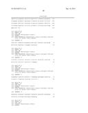 CHLOROPHYLL DEFICIENT ALGAL CELL WITH IMPROVED GROWTH AND PRODUCTION diagram and image