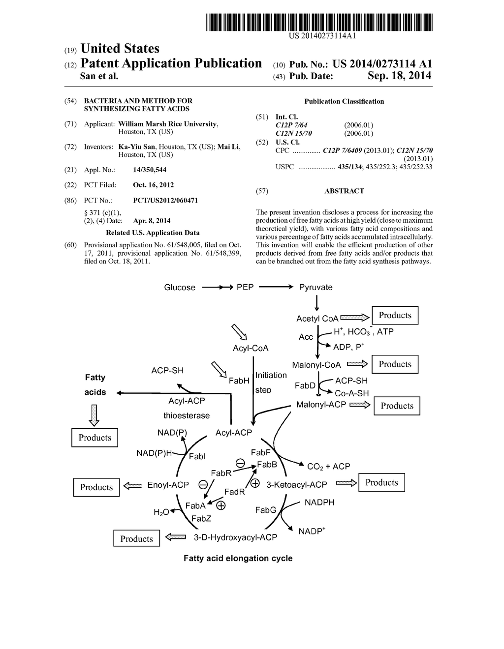 BACTERIA AND METHOD FOR SYNTHESIZING FATTY ACIDS - diagram, schematic, and image 01