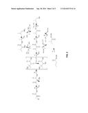 DHAD VARIANTS AND METHODS OF SCREENING diagram and image