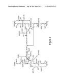 Method for production of n-propanol and other C3-carbon containing     products from syngas by symbiotic arrangement of C1-fixing and     C3-producing anaerobic microorganism cultures diagram and image