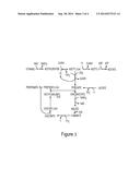 Method for production of n-propanol and other C3-carbon containing     products from syngas by symbiotic arrangement of C1-fixing and     C3-producing anaerobic microorganism cultures diagram and image