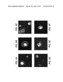 ENZYME SUBSTRATE COMPRISING A FUNCTIONAL DYE AND ASSOCIATED TECHNOLOGY AND     METHODS diagram and image