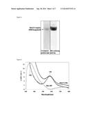 RECOMBINANT MANGANESE OXIDASE diagram and image