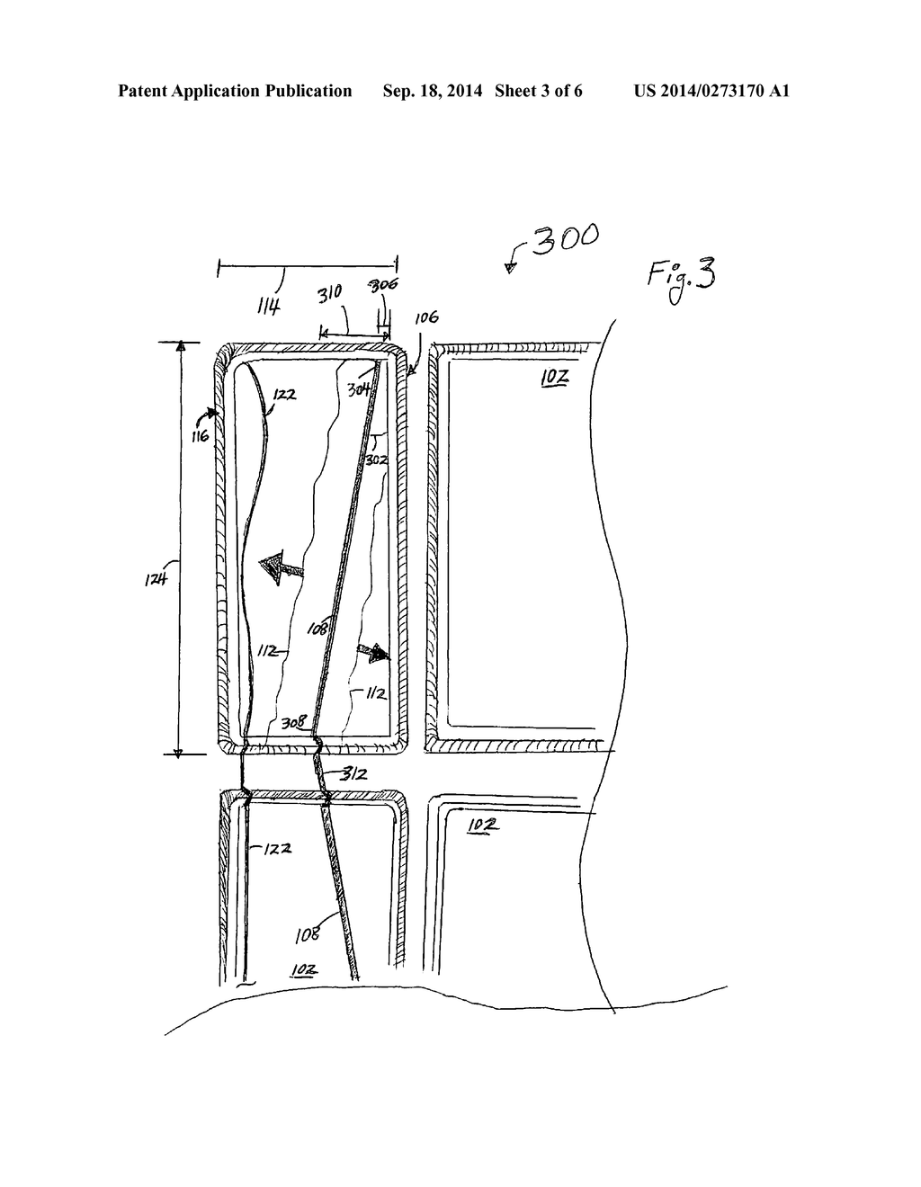 Algae Pond Circulation - diagram, schematic, and image 04