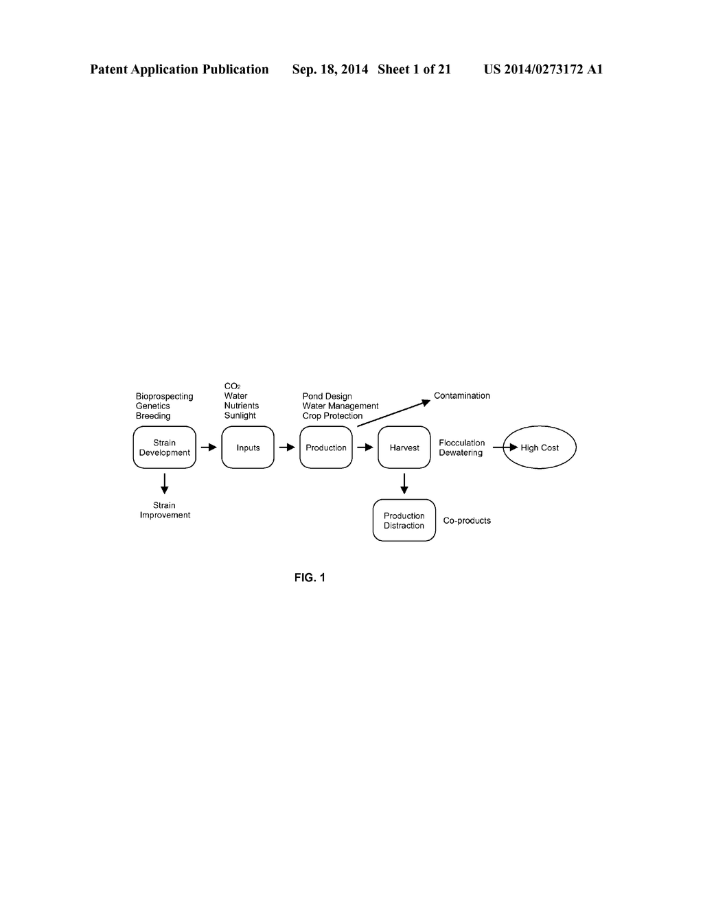 PHOTOBIOREACTOR SYSTEMS AND METHODS - diagram, schematic, and image 02