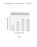 PHOTOBIOREACTOR SYSTEMS AND METHODS diagram and image