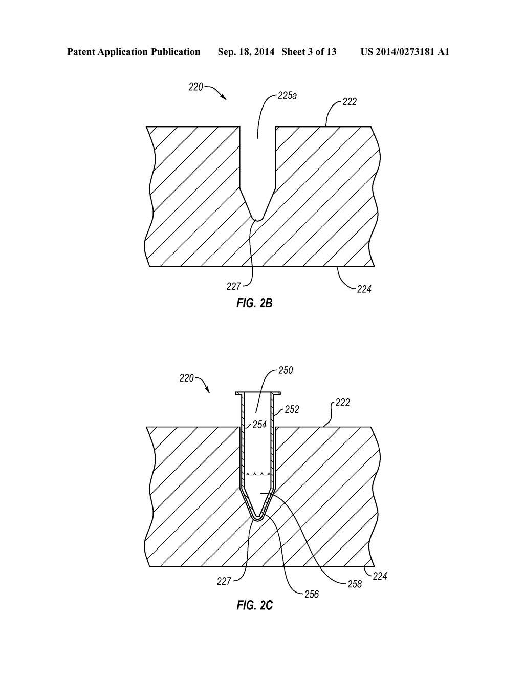 COMPACT OPTICAL SYSTEM FOR SUBSTANTIALLY SIMULTANEOUS MONITORING OF     SAMPLES IN A SAMPLE ARRAY - diagram, schematic, and image 04