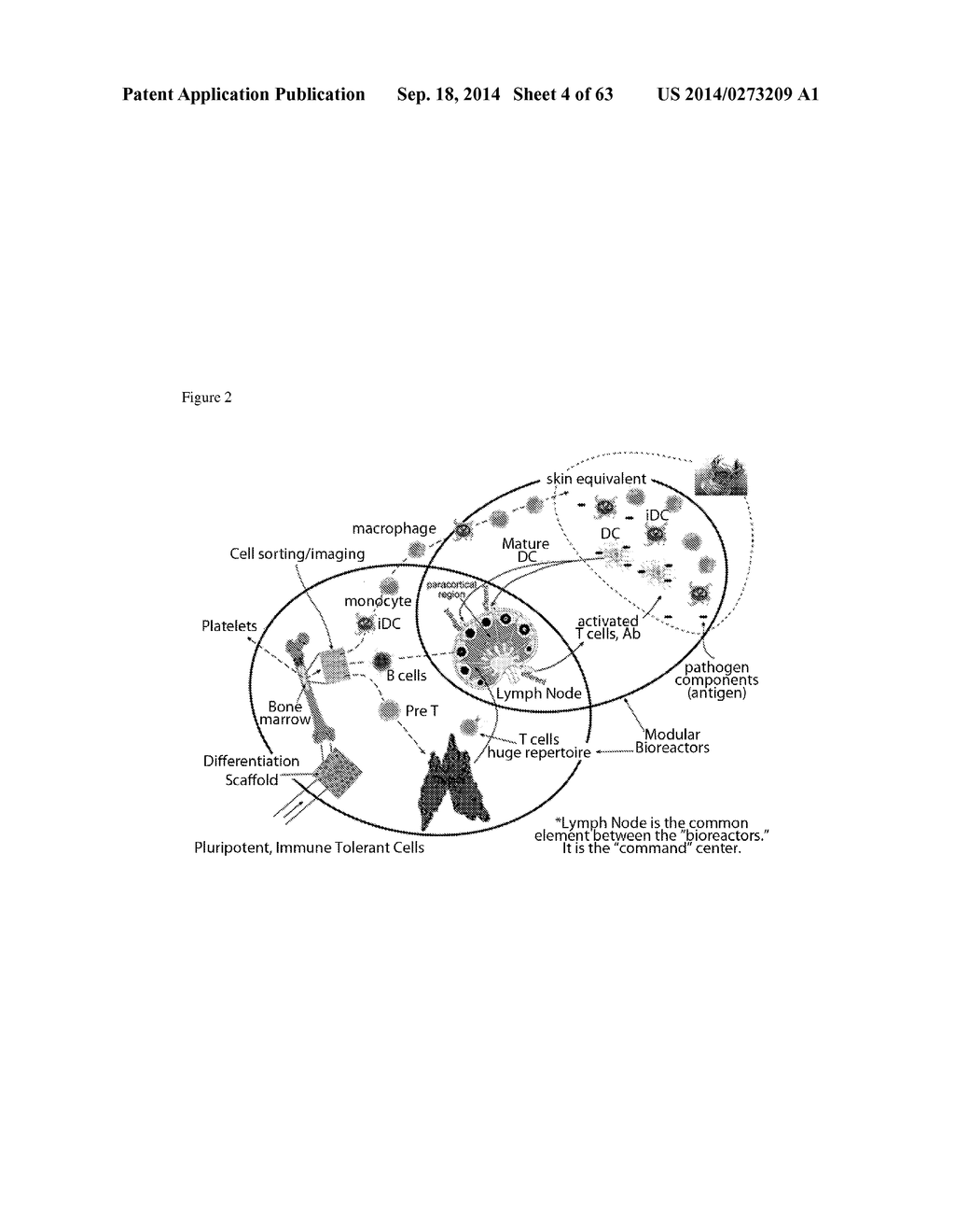 ARTIFICIAL IMMUNE SYSTEM: METHODS OF USE - diagram, schematic, and image 05