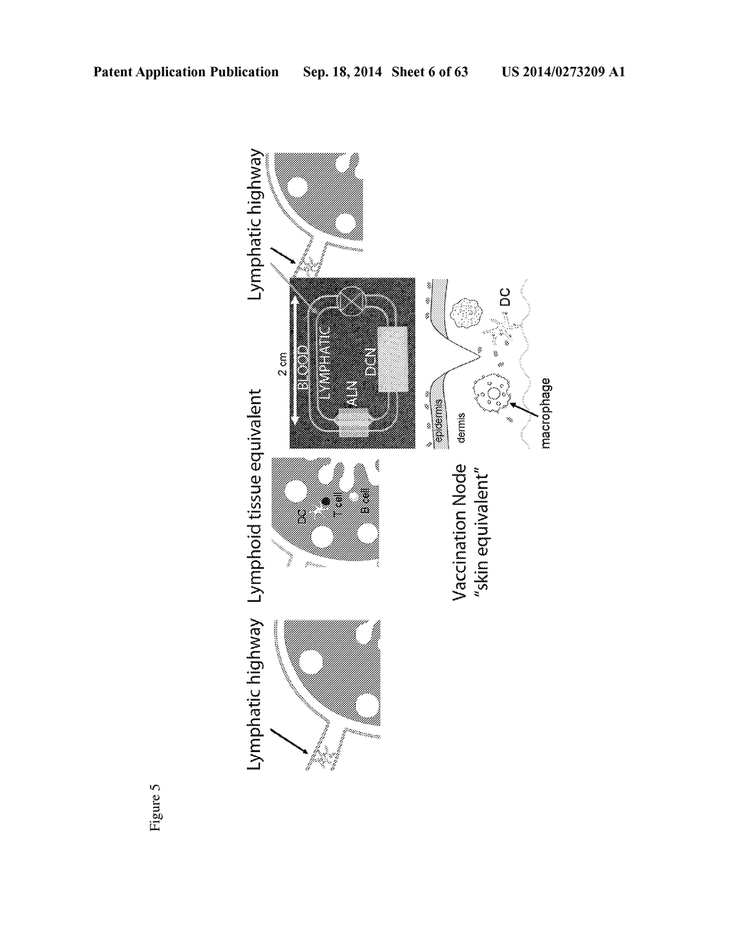 ARTIFICIAL IMMUNE SYSTEM: METHODS OF USE - diagram, schematic, and image 07