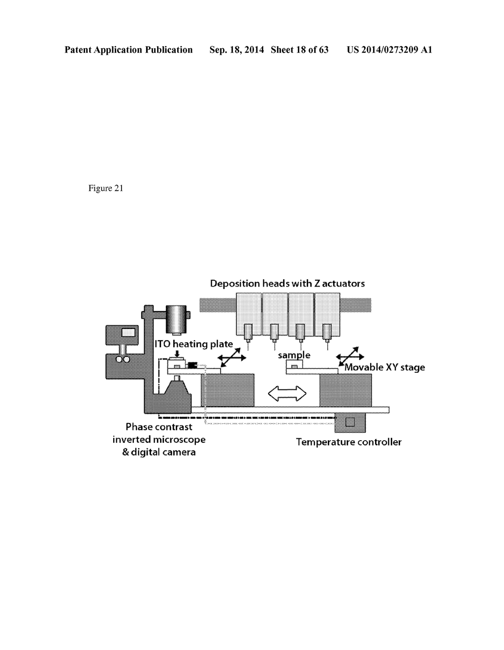 ARTIFICIAL IMMUNE SYSTEM: METHODS OF USE - diagram, schematic, and image 19