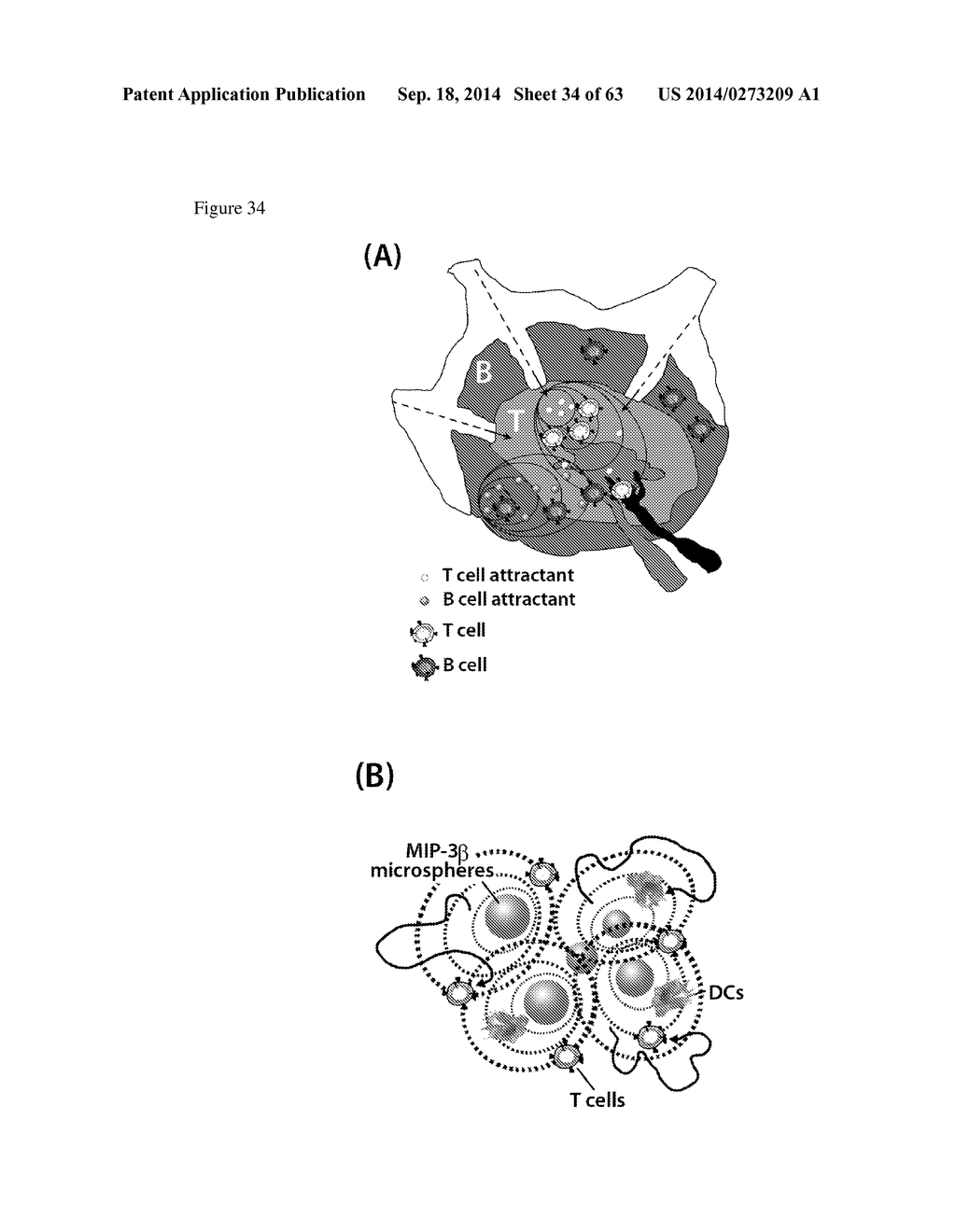 ARTIFICIAL IMMUNE SYSTEM: METHODS OF USE - diagram, schematic, and image 35