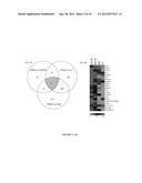 Methods and Materials for Hematoendothelial Differentiation of Human     Pluripotent Stem Cells Under Defined Conditions diagram and image