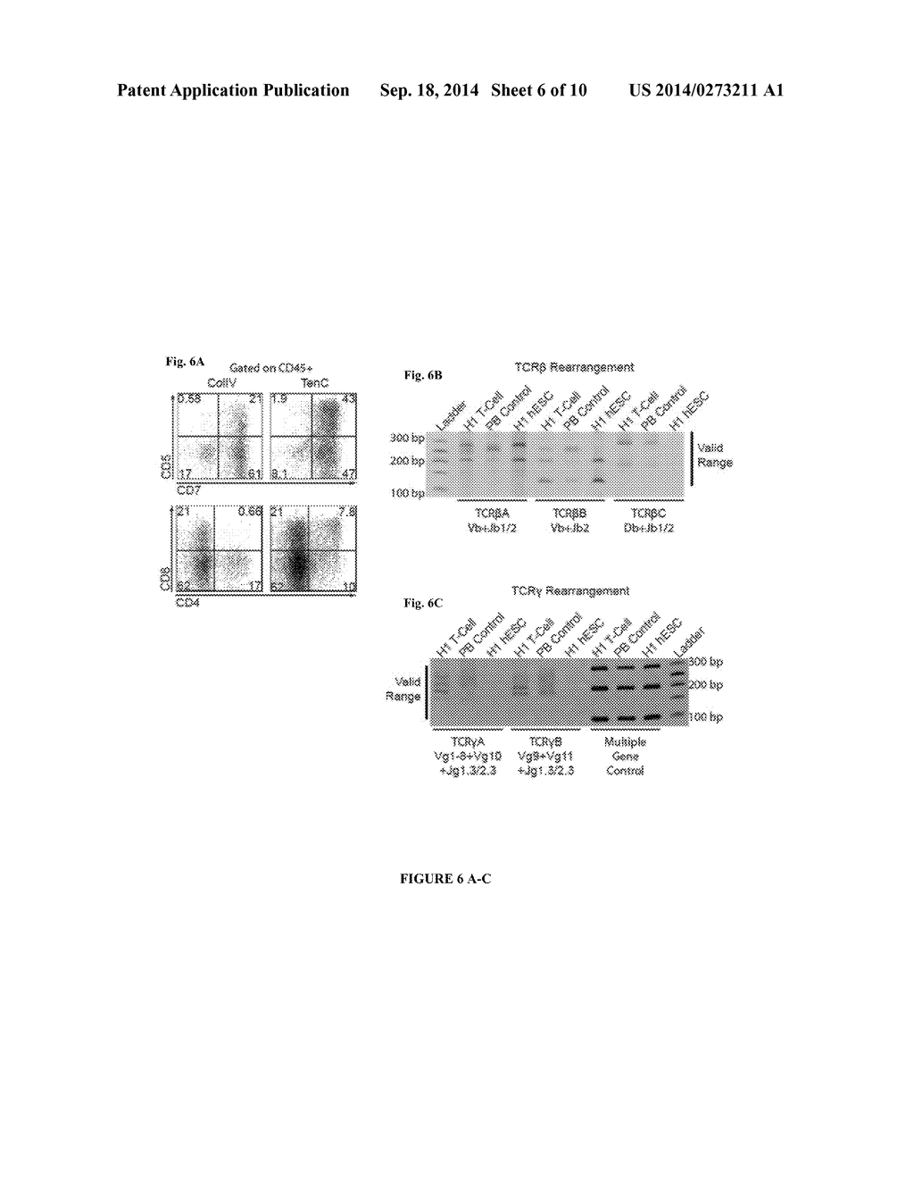 Methods and Materials for Hematoendothelial Differentiation of Human     Pluripotent Stem Cells Under Defined Conditions - diagram, schematic, and image 07