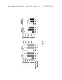 Self-Organized Vascular Networks from Human Pluripotent Stem Cells in a     Synthetic Matrix diagram and image