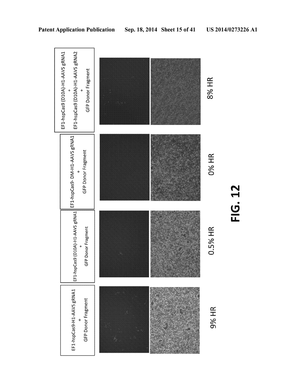 CRISPR/CAS SYSTEMS FOR GENOMIC MODIFICATION AND GENE MODULATION - diagram, schematic, and image 16