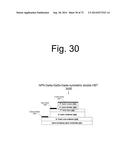 METHOD OF MANUFACTURE OF ADVANCED HETEROJUNCTION TRANSISTOR AND TRANSISTOR     LASER diagram and image