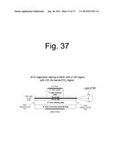 METHOD OF MANUFACTURE OF ADVANCED HETEROJUNCTION TRANSISTOR AND TRANSISTOR     LASER diagram and image