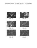 Microwave Initiation for Deposition of Porous Organosilicate Materials on     Fabrics diagram and image