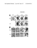 MOLECULES THAT INDUCE DISEASE RESISTANCE AND IMPROVE GROWTH IN PLANTS diagram and image